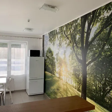 Spa Druskininkai Apartment Apartment Druskininkai
