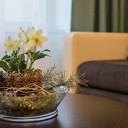 Appartement Spa Druskininkai Apartment *