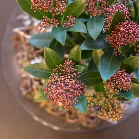 Spa Апартаменты