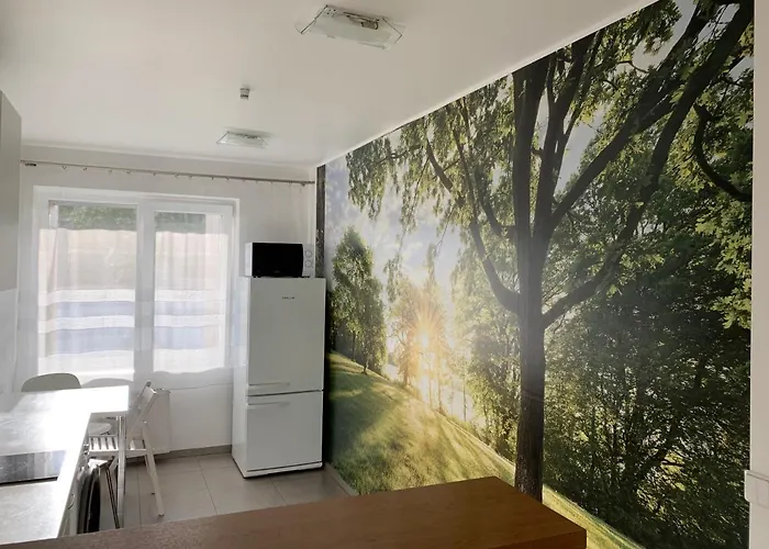 Spa Druskininkai Apartment Apartment Druskininkai