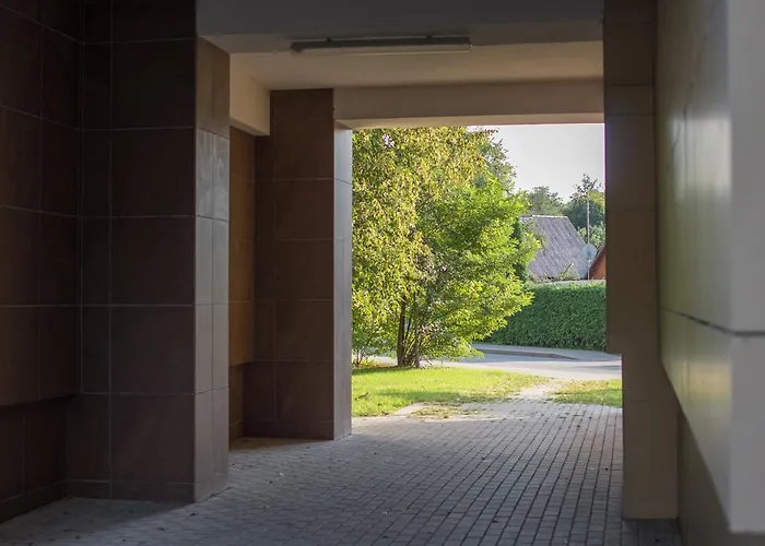 Spa Druskininkai Apartment Apartment