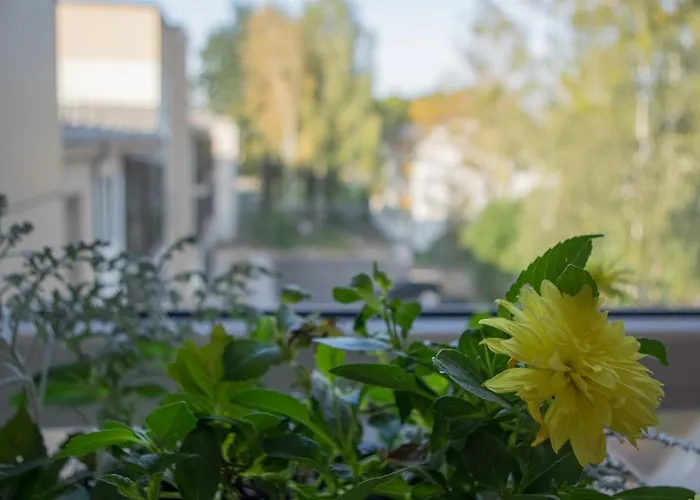 Spa Druskininkai Apartment Apartment *