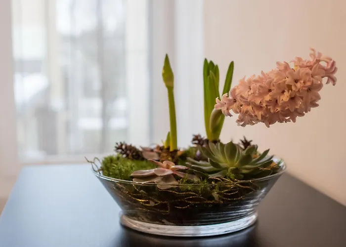 Spa Druskininkai Apartment Druskininkai