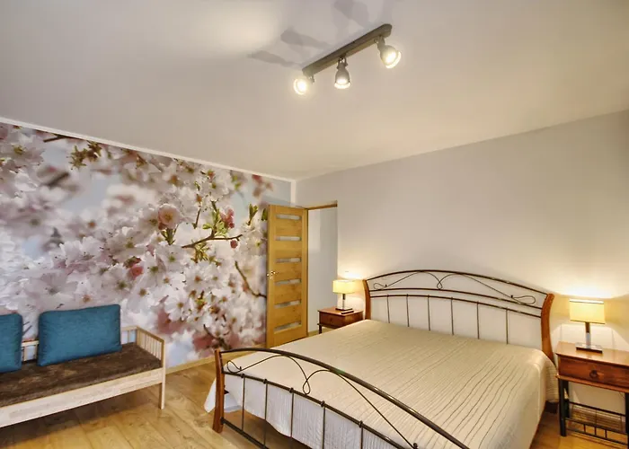 Spa Druskininkai Apartment Apartment *