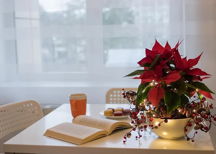 Apartment Spa Druskininkai Apartment *