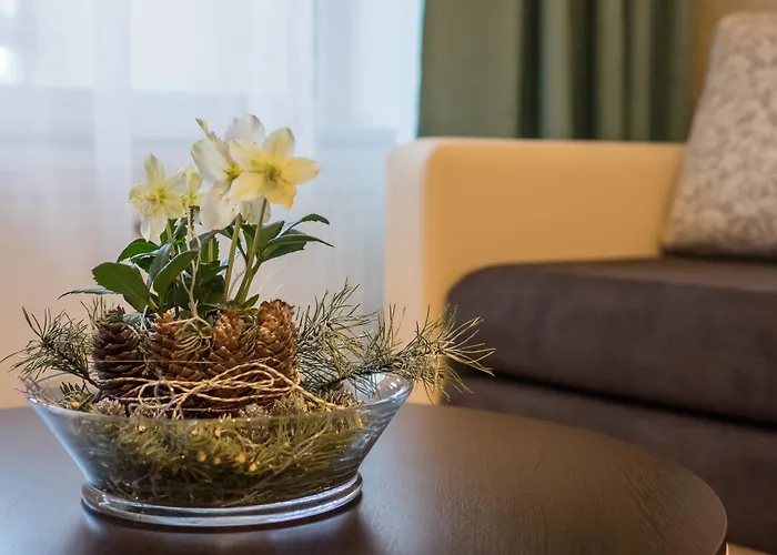 Apartment Spa Druskininkai Apartment *