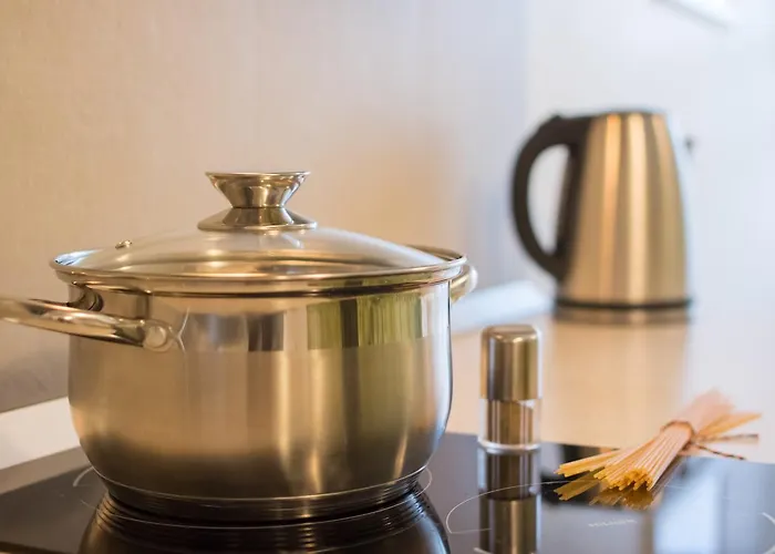 Spa Druskininkai Apartment