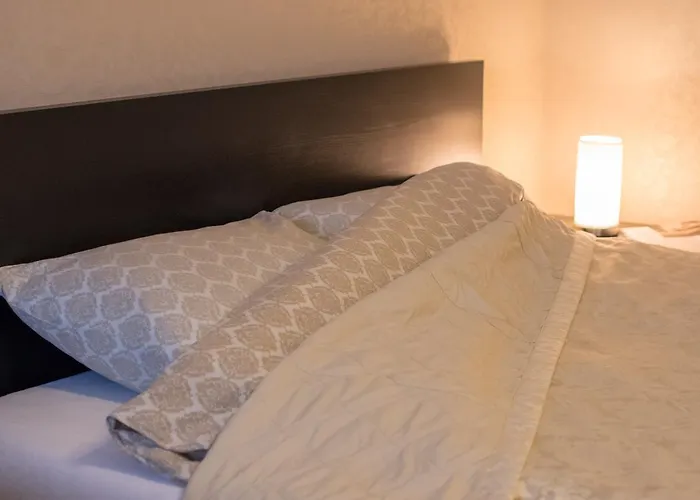 Apartment Spa Druskininkai Apartment